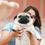 Shows a woman holding up a pug to the camera. The pugs skin is all bunched up