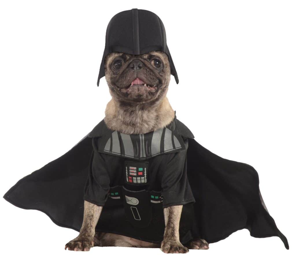 Pug dog wearing a Darth Vader costume