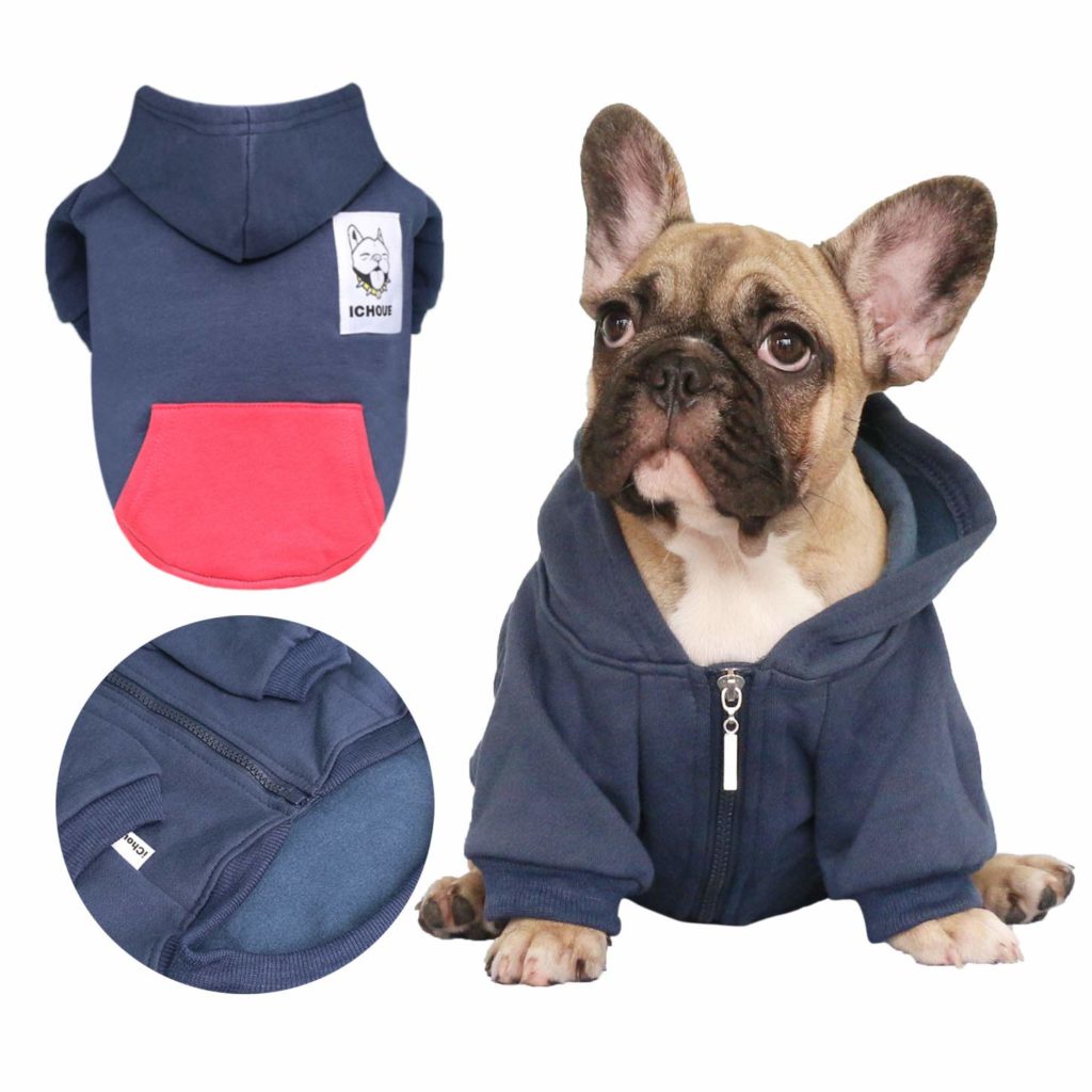 This picture shows a pug wearing a blue hoody, you can click the link and be taken to Amazon to buy one